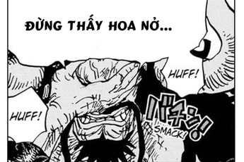 One Piece: Kaido và bài học dành cho Luffy "đừng thấy hoa nở mà ngỡ xuân về"