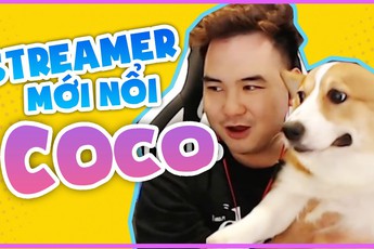 Ra đường là “cá mập”, về nhà là “con sen”, tuyển thủ làng game khiến fan tan chảy với những khoảnh khắc có 1-0-2!