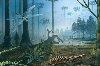 Chuyện gì sẽ xảy ra nếu lượng oxy trên Trái đất tăng gấp đôi