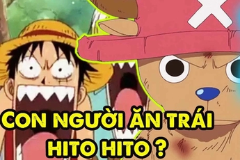 One Piece: Tổng hợp thông tin liên quan tới trái ác quỷ “Thần mặt trời Nika” mà Oda đã tiết lộ