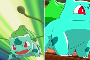 Người hâm mộ Pokémon khoe bộ sưu tập Bulbasaur, có vật phẩm được đánh giá hiếm