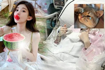 Rưng rưng nghe chuyện cựu streamer đình đám, kiếm 100 tỷ/năm, giờ lại đương đầu với bệnh hiểm nghèo