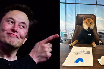 Chuyện gì đây: Elon Musk vừa bổ nhiệm 1 chú cún làm CEO Twitter, khen 'giỏi số má' khiến giá Dogecoin tăng mạnh