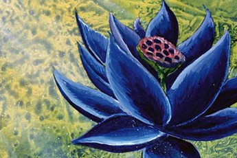 Xuất hiện thẻ bài được bán với giá cao kỷ lục của làng game, mất gần 13 tỷ để sở hữu