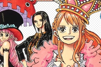 One Piece sẽ có một cuốn tiểu thuyết tập trung vào dàn bóng hồng xinh đẹp