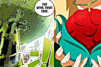 Giả thuyết One Piece tiết lộ trái ác quỷ có nguồn gốc từ một cây