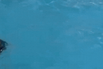 Thê thảm mỹ nhân showbiz bị tình cũ lừa chụp ảnh khỏa thân rồi phát tán để lại hậu quả khôn lường