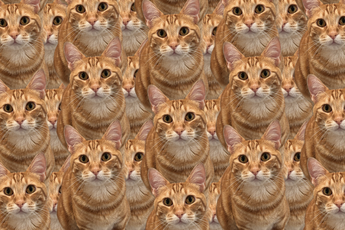 Một tựa game "free 100%" trên Steam nhận điểm số 9/10, người chơi rating "đỉnh của chóp"