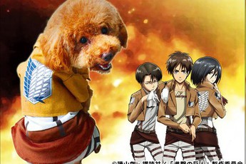 Ngộ nghĩnh cosplay Attack on Titan phong cách... cún cưng