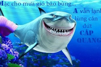 Sự cố đứt cáp quang sẽ được phục hồi vào ngày 9/5