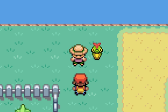 Số phận hẩm hiu của người bắt sâu bọ trong Pokemon