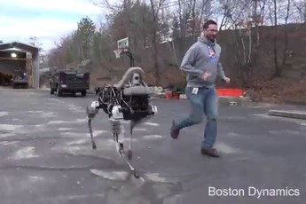 Độc đáo chú chó robot - Thú nuôi ấn tượng cho game thủ