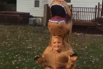 Chú khủng long 'ăn thịt' kute lạc lối khiến người xem phải bật cười
