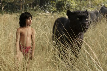 The Jungle Book - Phim bom tấn về "cậu bé rừng xanh" ra trailer đầu tiên