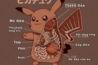Soi thấu tim gan Pokemon theo đúng nghĩa đen