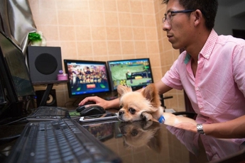 Tâm sự người "cày game thuê": 1 tay chơi 19 máy, đổi mạng lấy tiền