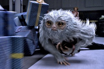 Làm quen với 6 sinh vật huyền bí bạn sẽ gặp trong "Fantastic Beast and Where to Find Them"