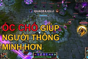 Hóa ra ăn óc chó thông minh hơn chứ không phải dốt đi như game thủ hay nói