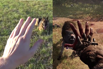 Bắt chước theo game, game thủ nhận cái kết không thể đắng hơn