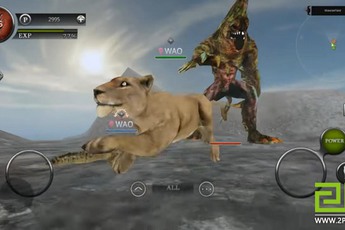 Wild Animals Online - Game kỳ quặc cho game thủ hoá thân thành Hổ, Báo, Gấu... đi đánh nhau với Rồng