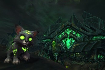 Chú mèo trong game online này đã kiếm được hơn 50 tỷ đồng làm từ thiện!