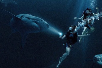 “47 Meters Down”: Cá mập và tình chị em "nắm nem ba đồng"