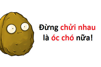 Cười vỡ bụng trước bộ ảnh hài hước game thủ chế về quả óc chó