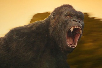 Hết đi đến Việt Nam, King Kong chuẩn bị được làm thành phim dài tập