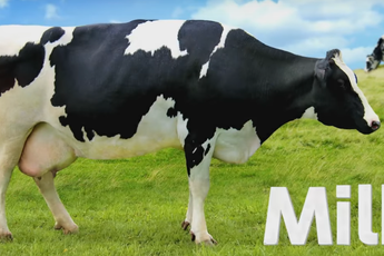 Nintendo bị hội bảo vệ động vật lên án vì làm game vắt sữa bò chưa đủ... dã man