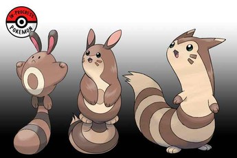 Tiến hóa hoàn hảo cả về ngoại hình lẫn sức mạnh, những Pokemon này khiến fan thích mê