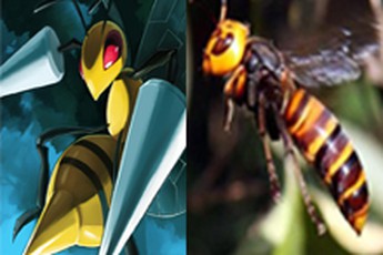 Hóa ra Pokemon thực sự tồn tại ngoài đời, thậm chí còn có thể "bắt" được (Phần 1)