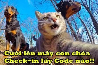 Chết cười thanh niên "nhẫn nhục", check-in cả với... mèo chỉ vì một chiếc Giftcode