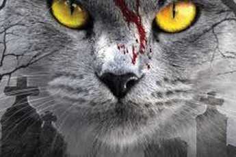 Hé lộ những hình ảnh đầy ghê rợn của dự án kinh dị Pet Sematary remake