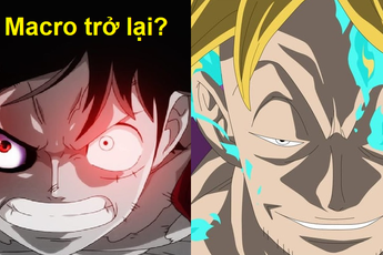 One Piece: "Phượng hoàng bất tử" Marco sẽ trở lại cùng Luffy đánh bại Tứ Hoàng Kaido?