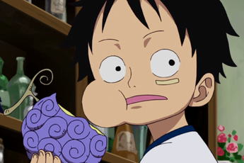 9 trường hợp "tai nạn" sở hữu trái ác quỷ trong One Piece: Không bị ép thì cũng là do ăn nhầm