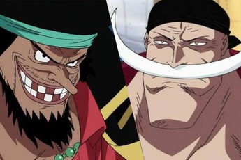4 trái ác quỷ sở hữu năng lực cực mạnh đã được "chuyển sinh" trong One Piece