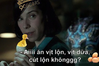 Bất mãn vì "The Shape of Water" thắng Oscar, dân mạng lôi nhau đi ăn trứng vịt luộc!