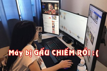Gấu chiếm mất máy tính chơi game, phải làm sao bây giờ?