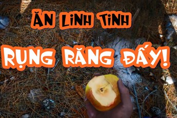 Scum - Game sinh tồn 'nực cười' nhất mọi thời đại: Ăn linh tinh sẽ bị rụng cả răng!