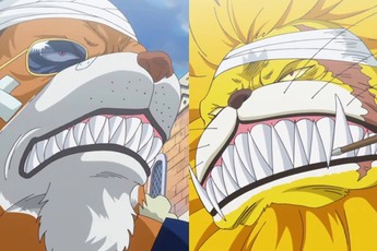 Thuyết âm mưu One Piece: Top 10 nhân vật có thể tử nạn trong Arc Wano