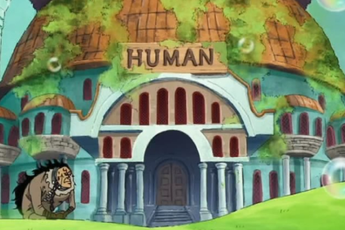 Các bạn có biết bảng giá của Nhà bán đấu giá nô lệ trong One Piece là bao nhiêu không?