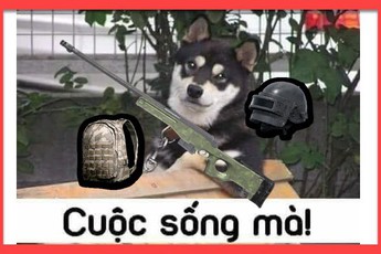 Cuộc sống mà… đôi khi chơi game phải bị lừa vài lần mới khôn lên được