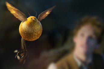 Tìm hiểu về chim Snidget - biểu tượng của trò Quidditch trong Harry Potter