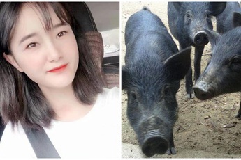 Sợ con gái ế, ông bố hứa tặng 300 con lợn cho chàng rể tương lai, cộng đồng mạng thắc mắc "Gái xinh thế này mà còn sợ"