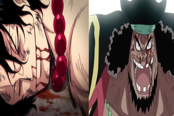 One Piece: Cho dù đã từ chối, nhưng Râu Đen có thoát khỏi lời nguyền "thảm khốc" của vị trí đội trưởng 2 băng Râu Trắng?