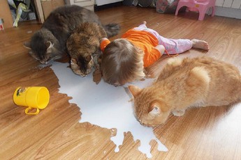 [Vui] Loạt ảnh minh chứng game thủ vẫn còn hiền chán, lũ trẻ con mới là thảm họa