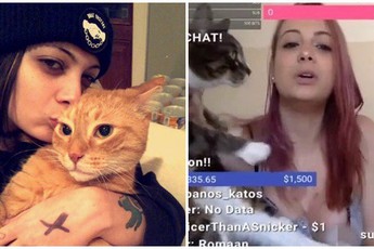 Cho mèo cưng lên sóng, nữ streamer bất ngờ khi bị kéo tụt áo ngực, lộ hết đôi gò bồng đảo quyến rũ