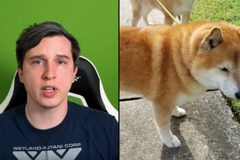 Bị fan hâm mộ trộm chó, Youtuber treo thưởng gần 50 triệu đồng cho ai tìm được "cậu vàng"
