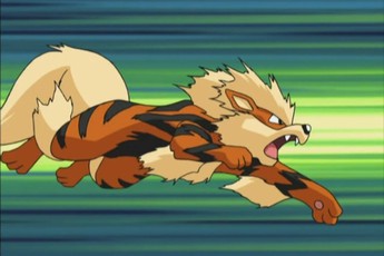 Nếu thế giới Pokemon có thật, đâu là Pokemon nên chọn để làm bạn đồng hành?