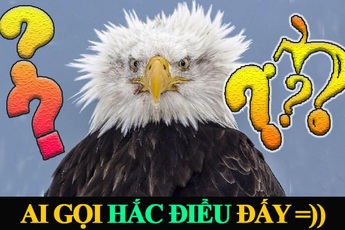 Chê acc “Chim Đen” vừa phế vừa…ngu, thanh niên tạo nên drama không hồi kết, dính truy nã toàn server, châm ngòi nổ chiến tranh